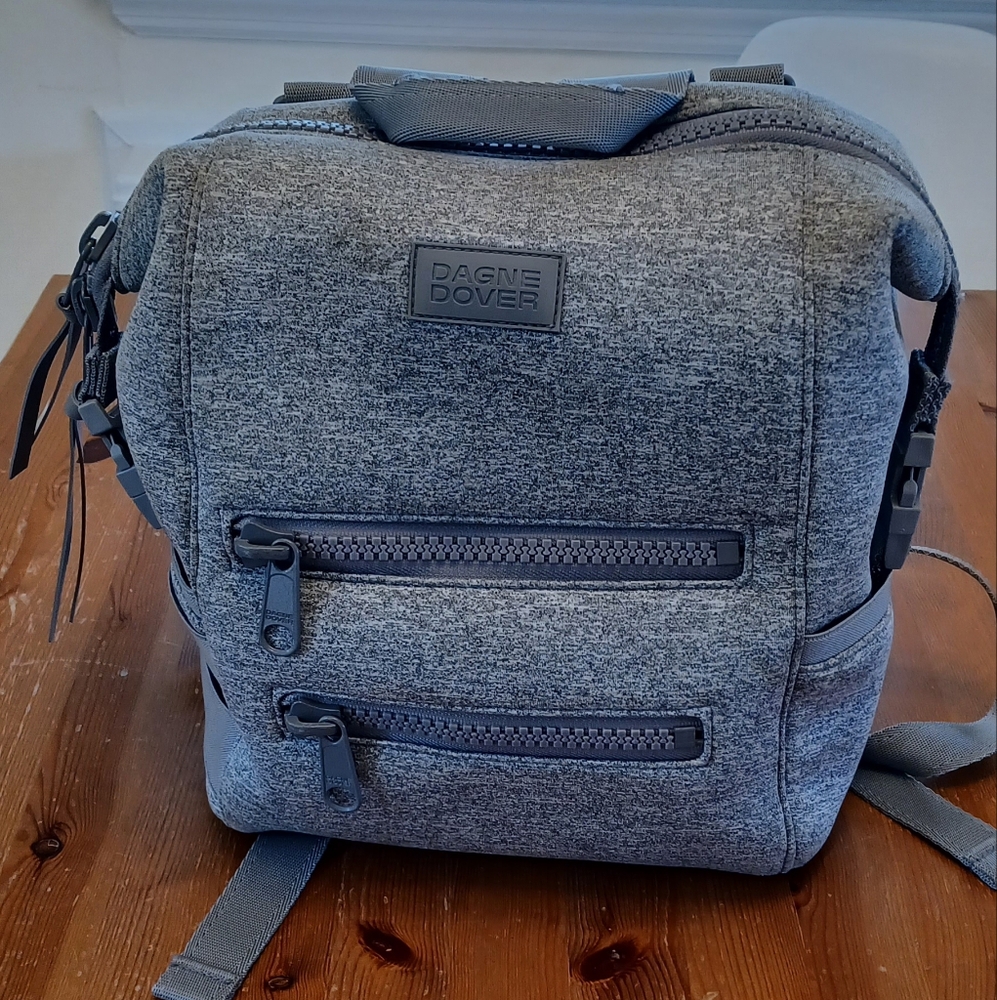 Dagne Dover Gray Indi Small Backpack